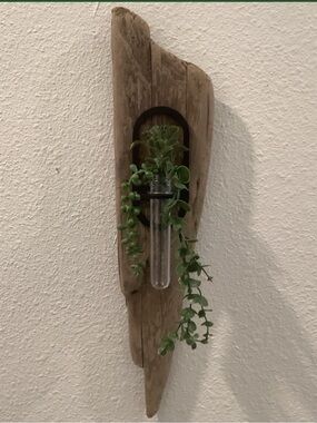 Driftwood Art , Driftwood Hanging Plant Plaque, Driftwood Coastal Art